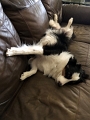 Zoey_Waitin4Jess_2021-09 (3)